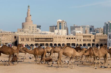 Doha Turu Pegasus Havayolları İle