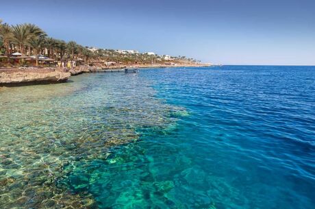Kahire Sharm El Sheikh Turu 4 Gece (Ankara Hareketli)