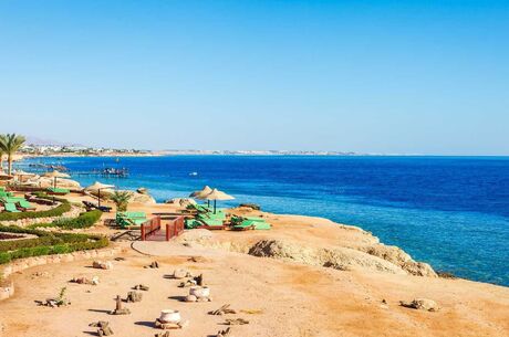 Kahire Sharm El Sheikh Turu 4 Gece (Ankara Hareketli)