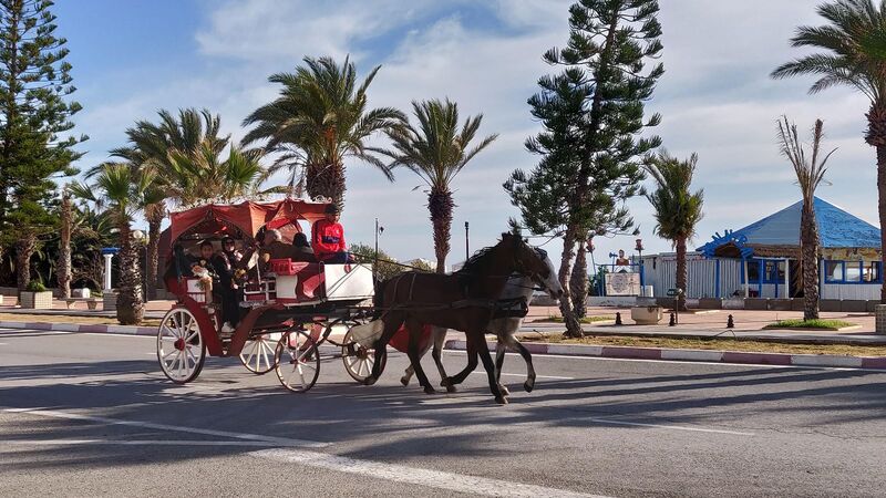 Görkemli Tunus Ve Antik Kentler Turu (İstanbul Hareketli)