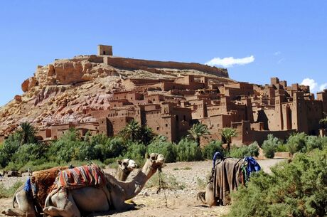 Casablancadan Marakeşe Fas Turu Rotası 5 Gece (İstanbul Hareketli)