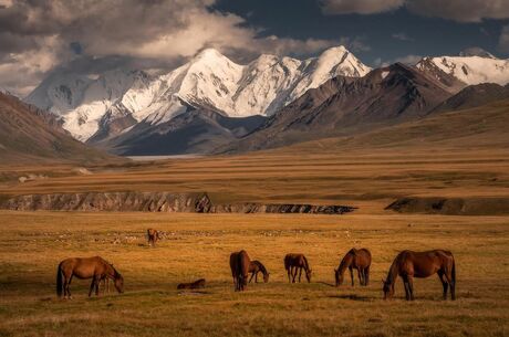 Premium Kırgızistan Kazakistan Özbekistan Turu