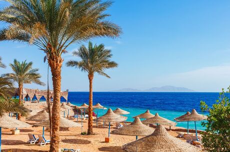 Sharm El Sheikh Turu 5 Gece Pegasus Havayolları İle