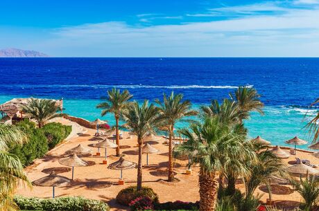 Sharm El Sheikh Turu 5 Gece Pegasus Havayolları İle