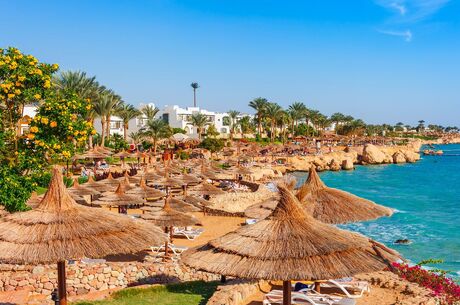 Sharm El Sheikh Turu 5 Gece Pegasus Havayolları İle