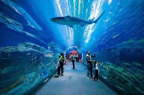 Dubai Legoland Turu (Istanbul Hareketli)