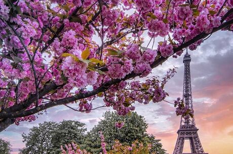 Paris Turu 3 Gece Türk Havayolları İle