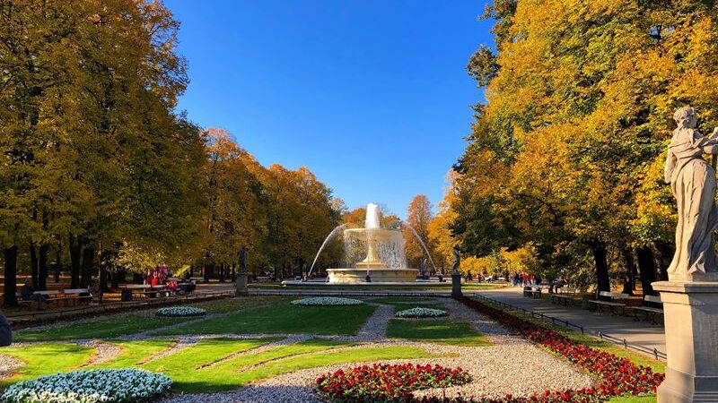 Almanya Fransa Isviçre Turu Sun Express Hava Yolları İle (İzmir Hareketli)