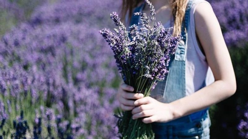 Isparta Lavanta Festivali Turu (İstanbul Hareketli)