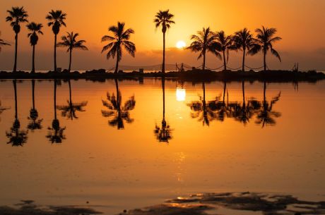 Florida Rüyası Miami Orlando Turu (İstanbul Hareketli)