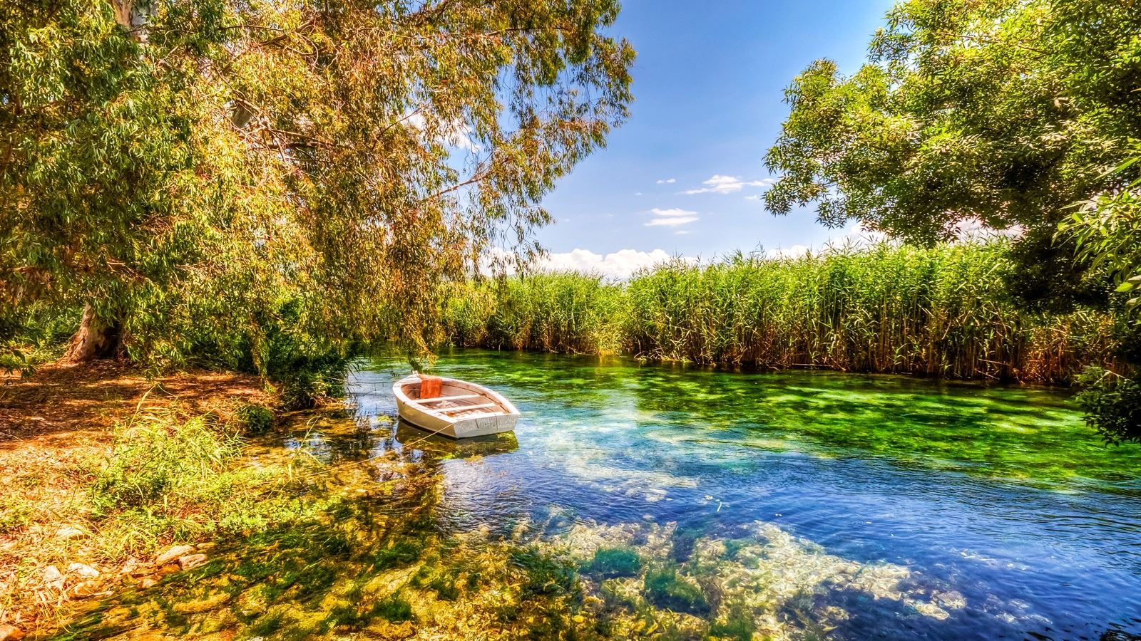Marmaris Bodrum Datça Turu (İzmir Hareketli)