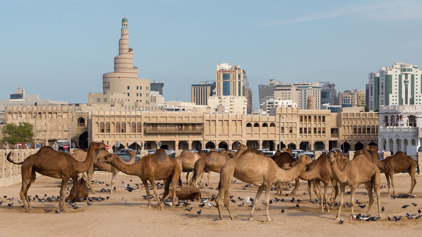 Doha Turu Pegasus Havayolları İle