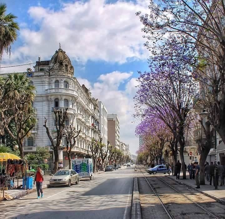 Görkemli Tunus Ve Antik Kentler Turu (İstanbul Hareketli)
