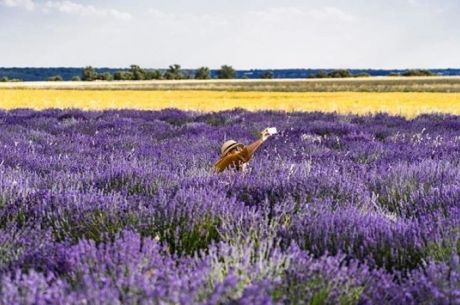 Isparta Lavanta Festivali Turu (İstanbul Hareketli)